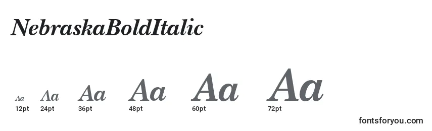 NebraskaBoldItalic Font Sizes