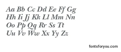 NebraskaBoldItalic Font