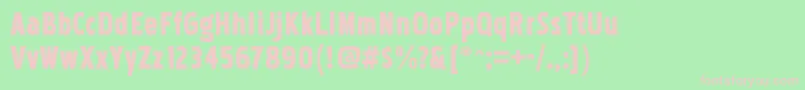 PakenhamcdblRegular Font – Pink Fonts on Green Background