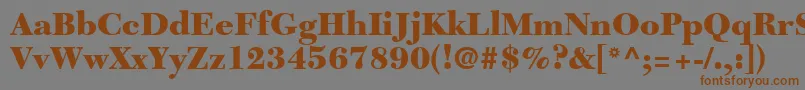 フォントTycoonBlackSsiBlack – 茶色の文字が灰色の背景にあります。