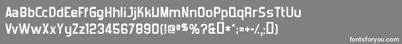 ForgottenFuturistBold Font – White Fonts on Gray Background