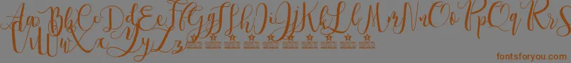 Więcej informacji o czcionce SpringtimePersonalUse Czcionka SpringtimePersonalUse – brązowe czcionki na szarym tle