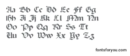 Paladinflf Font