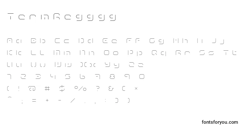 Schriftart TermRegggg – Alphabet, Zahlen, spezielle Symbole
