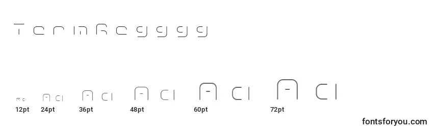 TermRegggg Font Sizes
