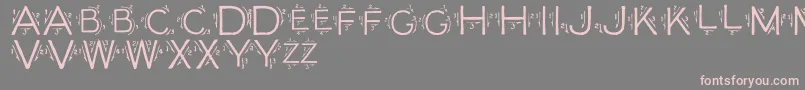 Single Font – Pink Fonts on Gray Background