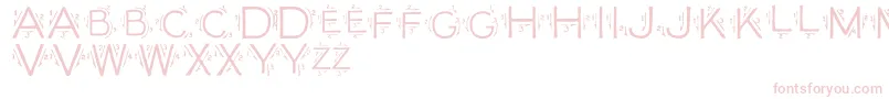 Single Font – Pink Fonts