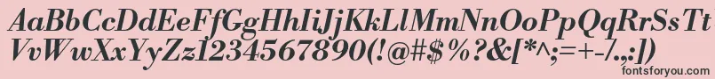 LibrebodoniBolditalic Font – Black Fonts on Pink Background