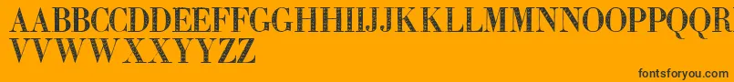 Zierinitialen2 Font – Black Fonts on Orange Background