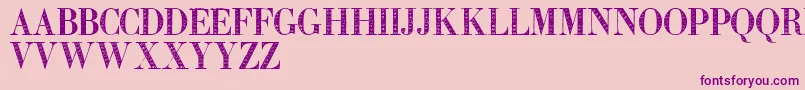 Zierinitialen2 Font – Purple Fonts on Pink Background