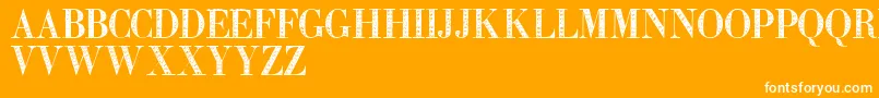 フォントZierinitialen2 – オレンジの背景に白い文字