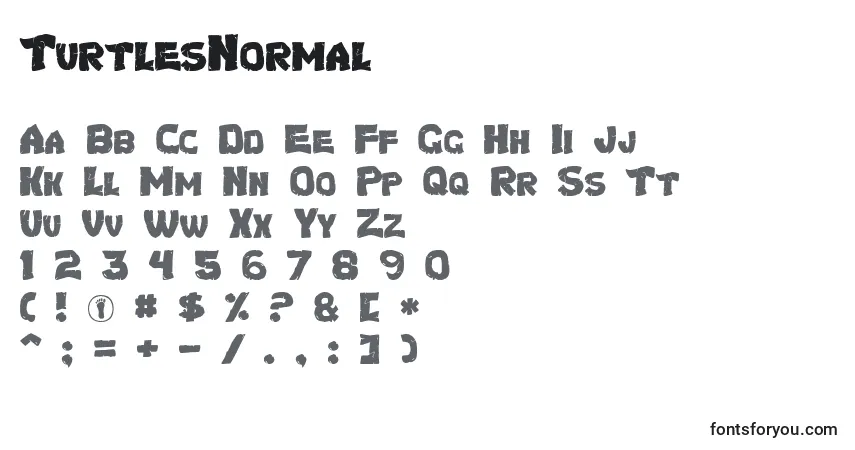 TurtlesNormalフォント–アルファベット、数字、特殊文字