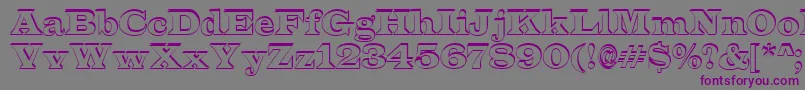 LatinoshRegular-fontti – violetit fontit harmaalla taustalla