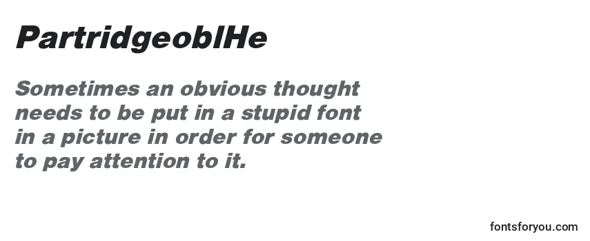 Review of the PartridgeoblHe Font
