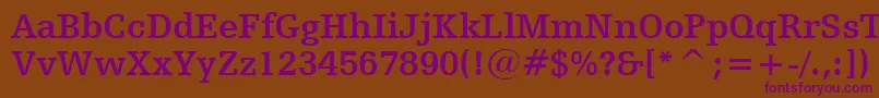 Czcionka HumanistSlabserif712BoldBt – fioletowe czcionki na brązowym tle