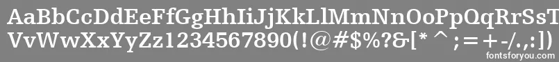 フォントHumanistSlabserif712BoldBt – 灰色の背景に白い文字