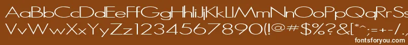 MicroSerifLight Font – White Fonts on Brown Background