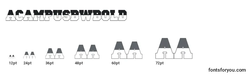 ACampusbwBold Font Sizes