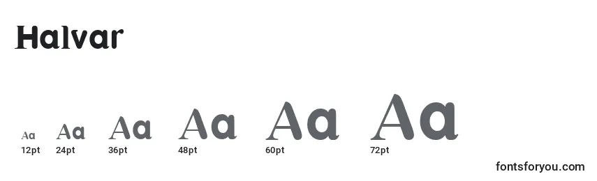 Halvar Font Sizes
