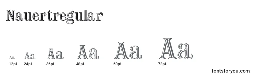 Размеры шрифта Nauertregular