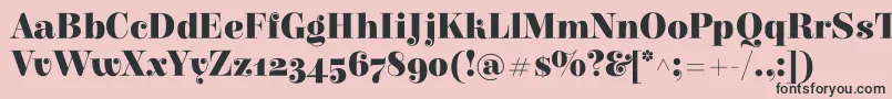 ElsieBlack Font – Black Fonts on Pink Background