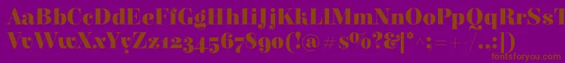 ElsieBlack Font – Brown Fonts on Purple Background