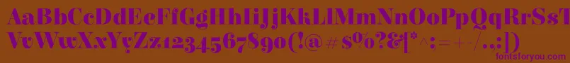 ElsieBlack Font – Purple Fonts on Brown Background