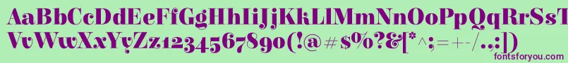 ElsieBlack Font – Purple Fonts on Green Background