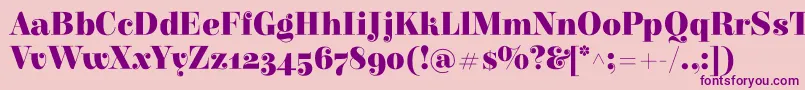 ElsieBlack Font – Purple Fonts on Pink Background