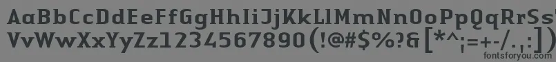 LinotypeAuthenticSmallSerifMedium Font – Black Fonts on Gray Background