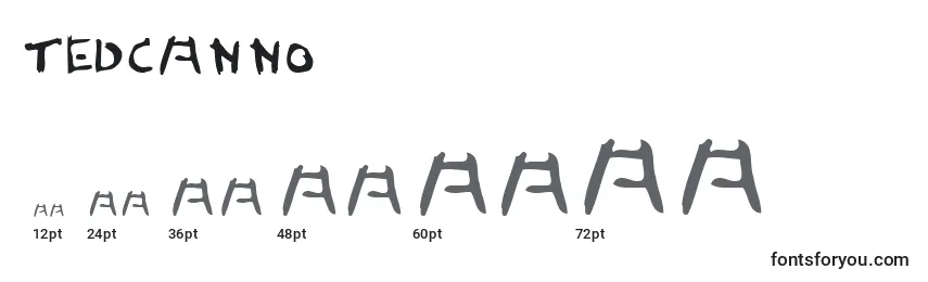Размеры шрифта Tedcanno