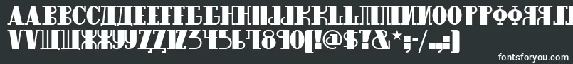 フォントRaskalnikovnf – 白い文字