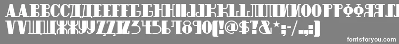 Raskalnikovnf Font – White Fonts on Gray Background