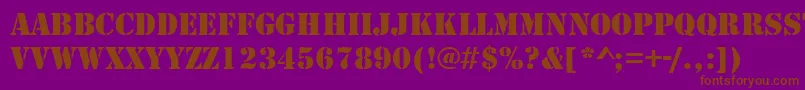 StencilRegularDb Font – Brown Fonts on Purple Background