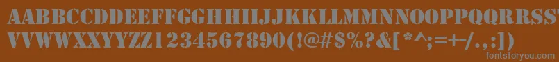 StencilRegularDb Font – Gray Fonts on Brown Background