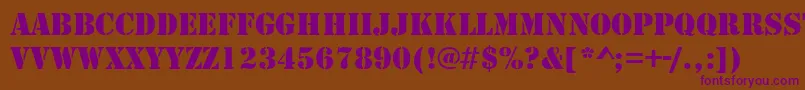 StencilRegularDb Font – Purple Fonts on Brown Background