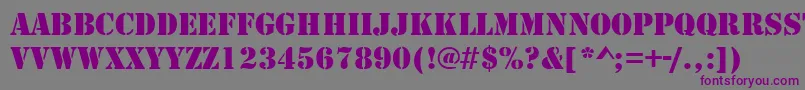 StencilRegularDb Font – Purple Fonts on Gray Background