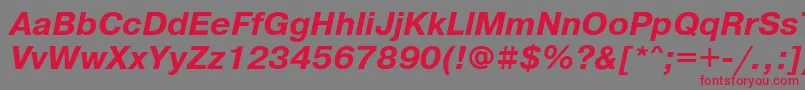 PragmaticaattBolditalic Font – Red Fonts on Gray Background