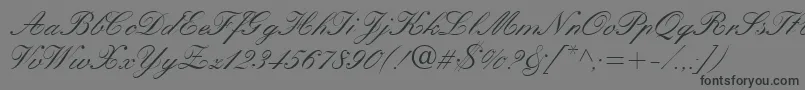 KastlerItalic Font – Black Fonts on Gray Background