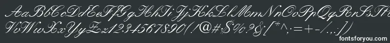 KastlerItalic Font – White Fonts on Black Background