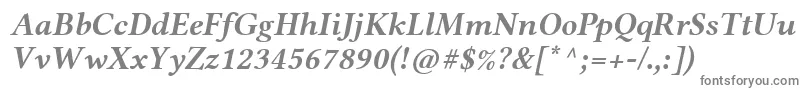 LinlibertineRbi Font – Gray Fonts on White Background