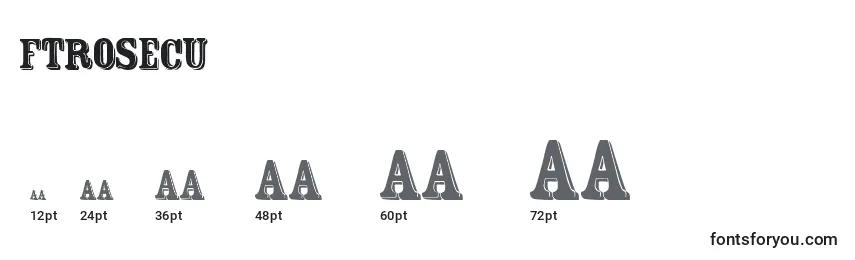 Ftrosecu Font Sizes
