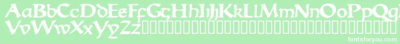 EscudedisplaysskBold Font – White Fonts on Green Background