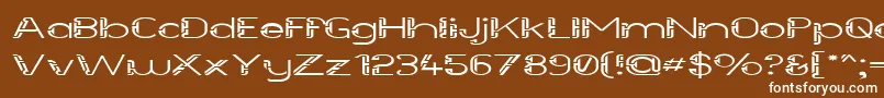 フォントFutureSallowWide – 茶色の背景に白い文字