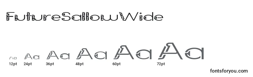FutureSallowWide Font Sizes