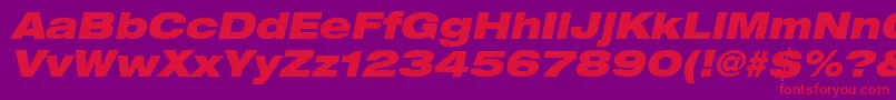 HelveticaLt93BlackExtendedOblique Font – Red Fonts on Purple Background