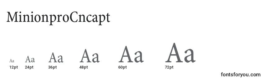 MinionproCncapt Font Sizes