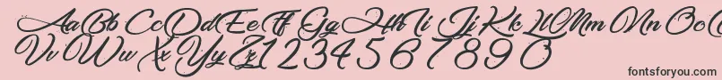 MakingTheQuality Font – Black Fonts on Pink Background