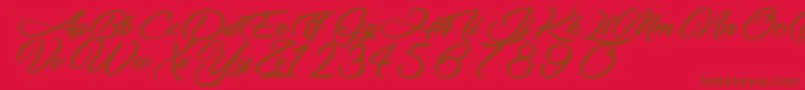 MakingTheQuality Font – Brown Fonts on Red Background