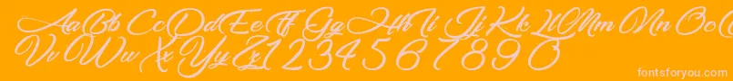 MakingTheQuality Font – Pink Fonts on Orange Background